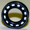 Full Ceramic Bearings